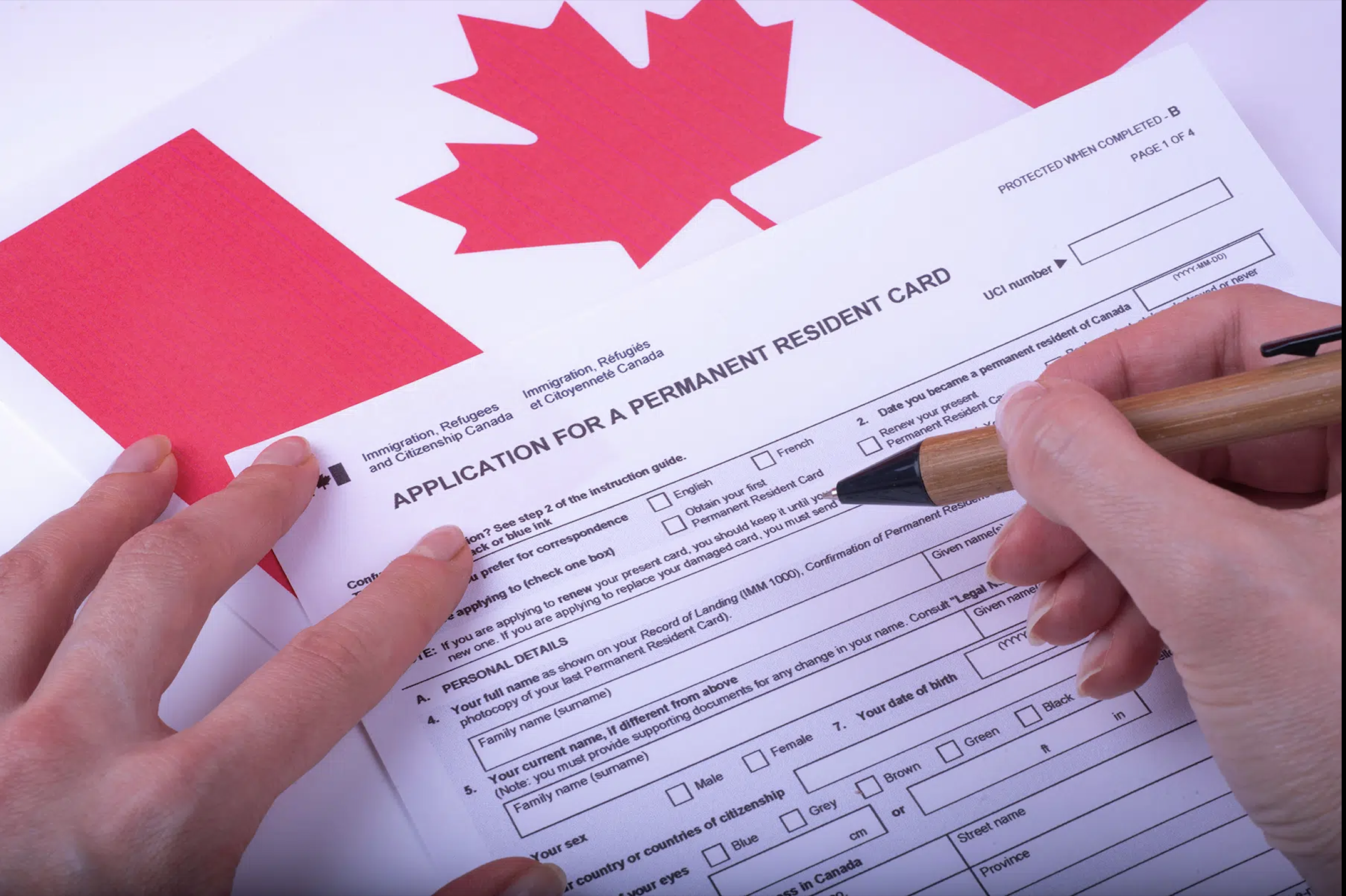 Canada leaf logo